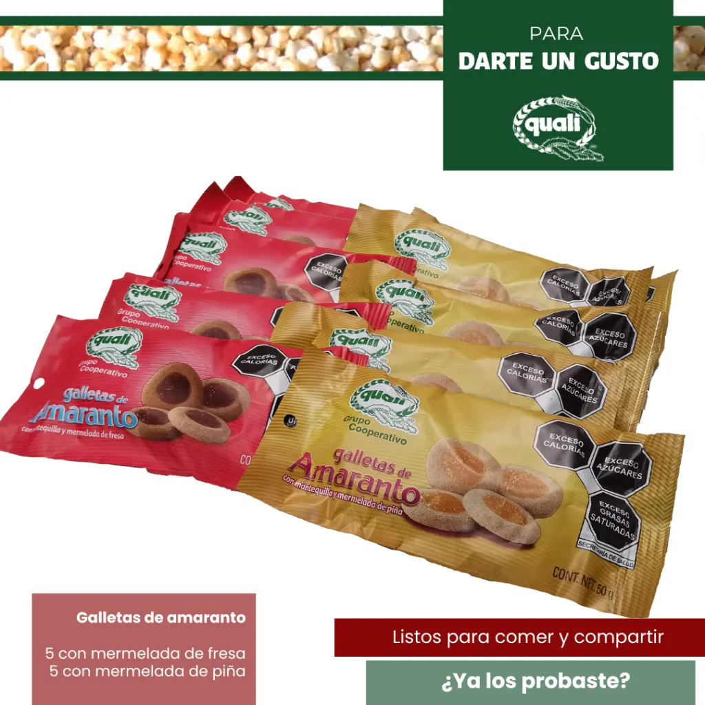 05 PDGUSTO 10 GALLETAS.webp